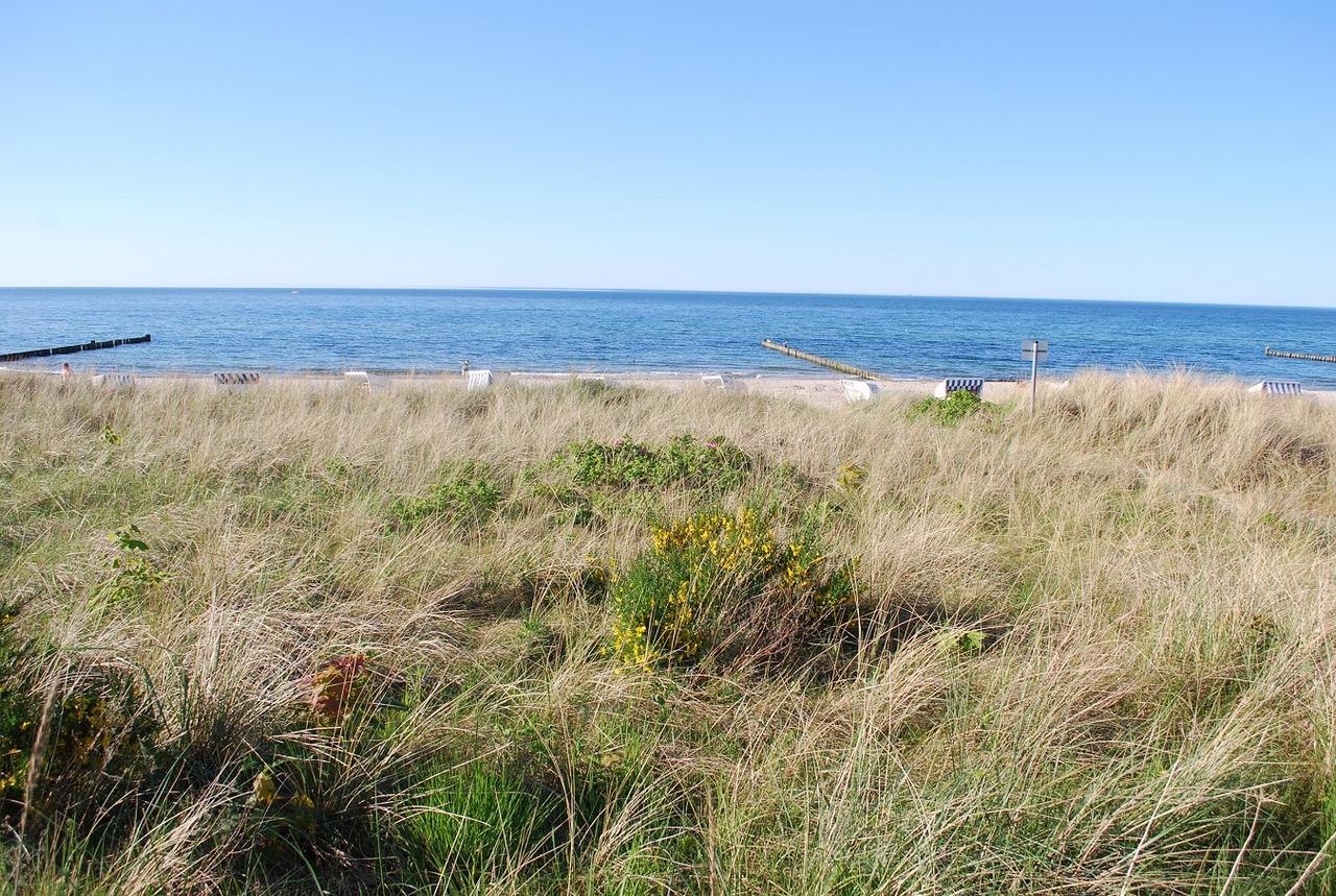 Ferienwohnungen Am Rosenhof Ostseebad Kühlungsborn Exterior foto